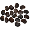 Acacia Confusa Seeds – Premium Botanical Seeds for Research, Cultivation & Collection